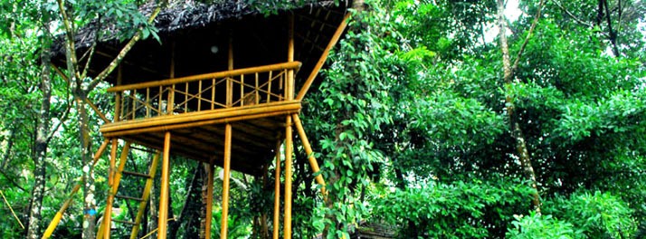 511/Eden Valley Country Resort & Ayurvedic Retreat - Thrissur 08.jpg